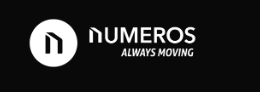 IIT Bhubaneswar and Numeros Motors Collaborate to Develop Rare Earth-Free Motor Technologies. Image source: Numeros Motors