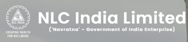 NLC India in Advanced Talks with Russian State Enterprise on African Lithium Sourcing. Image source: NLC