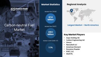 Image Source: Research Nester