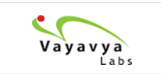 Vayavya Labs, SimDaaS Join Forces to Boost ADAS & Autonomous-Vehicle Testing. Image source: Vayavya Labs